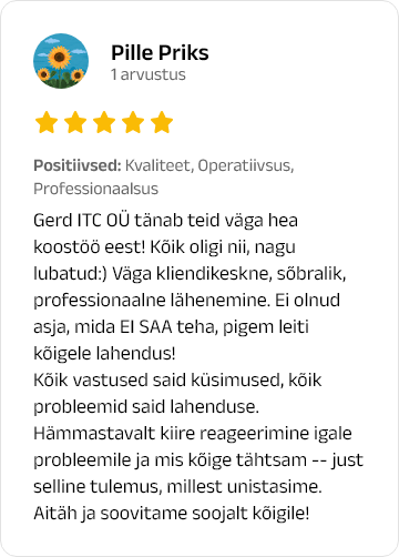 Pille Priks google review