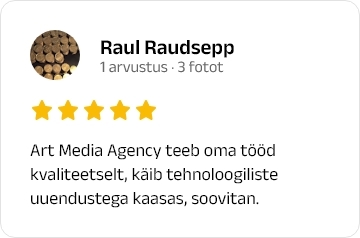 Raul Raudsepp google review
